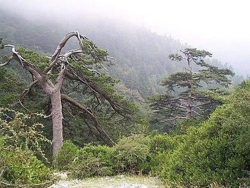 Appartement Albania *