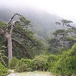 Διαμέρισμα Albania *